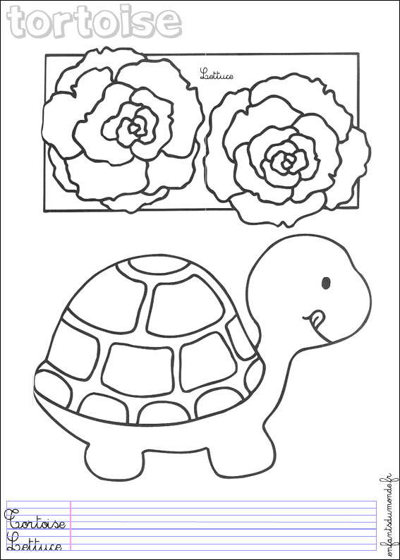 coloriage tortue 1